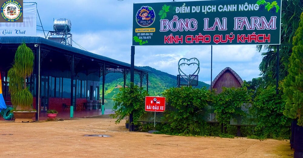 Taxi Tu Tra Đơn Dương Đi Tham Quan: Cung Đường Farm Sữa, Vườn Dâu & Chùa Vàng Bồng Lai Farm vườn nho Nhật