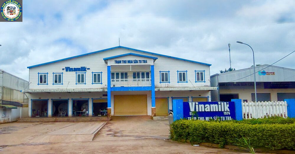 Taxi Tu Tra Đơn Dương Đi Tham Quan: Cung Đường Farm Sữa, Vườn Dâu & Chùa Vàng Trạm thu mua sữa Vinamilk Tư Tra
