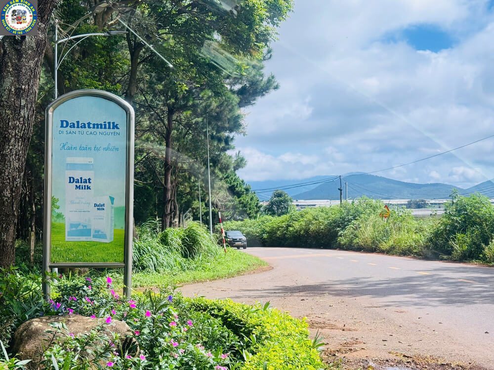 Taxi Tu Tra Đơn Dương Đi Tham Quan: Cung Đường Farm Sữa, Vườn Dâu & Chùa Vàng Biển Dalatmilk bên đường Tu Tra