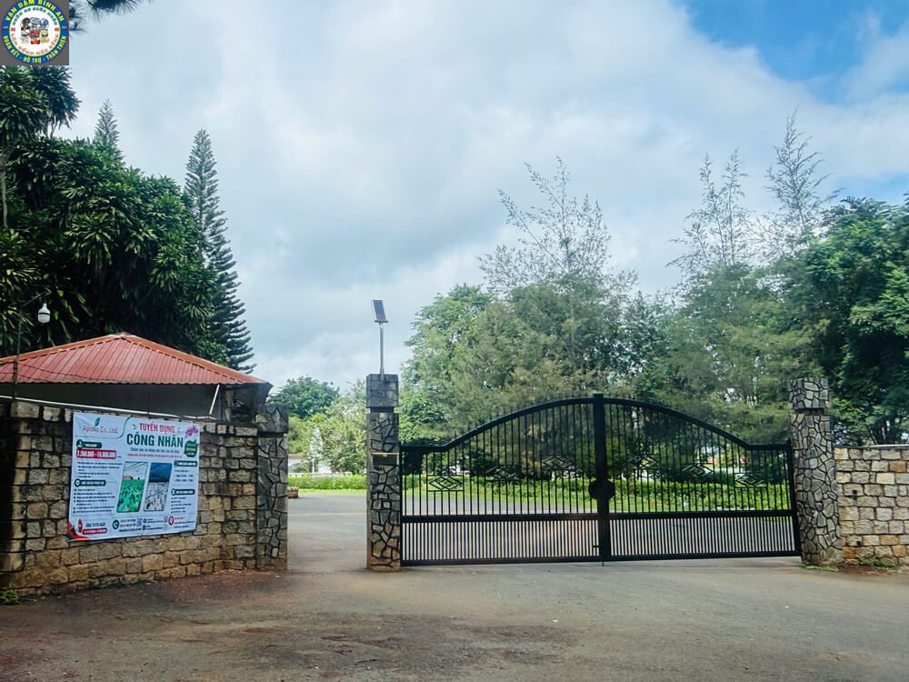 Taxi Tu Tra Đơn Dương Đi Tham Quan: Cung Đường Farm Sữa, Vườn Dâu & Chùa Vàng Cổng trang trại Apollo Tu Tra