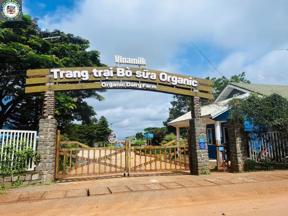 Taxi Tu Tra Đơn Dương Đi Tham Quan: Cung Đường Farm Sữa, Vườn Dâu & Chùa Vàng Cổng Trang trại bò sữa Organic Vinamilk Đơn Dương