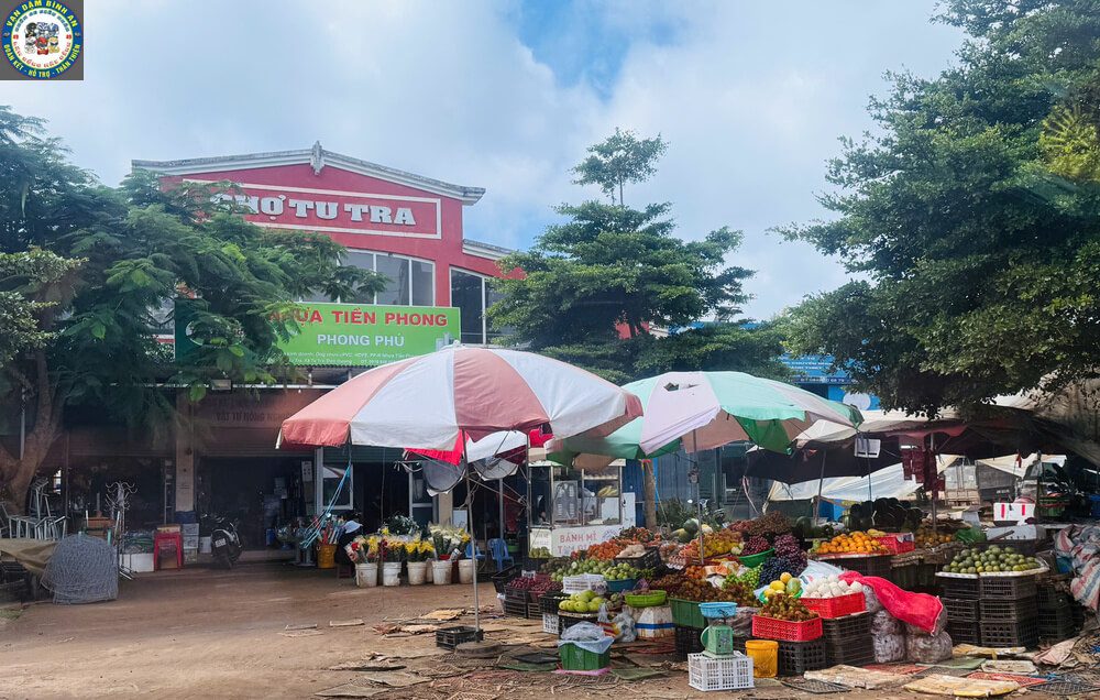 Taxi Tu Tra Đơn Dương Đi Tham Quan: Cung Đường Farm Sữa, Vườn Dâu & Chùa Vàng Chợ Tu Tra xã Đơn Dương