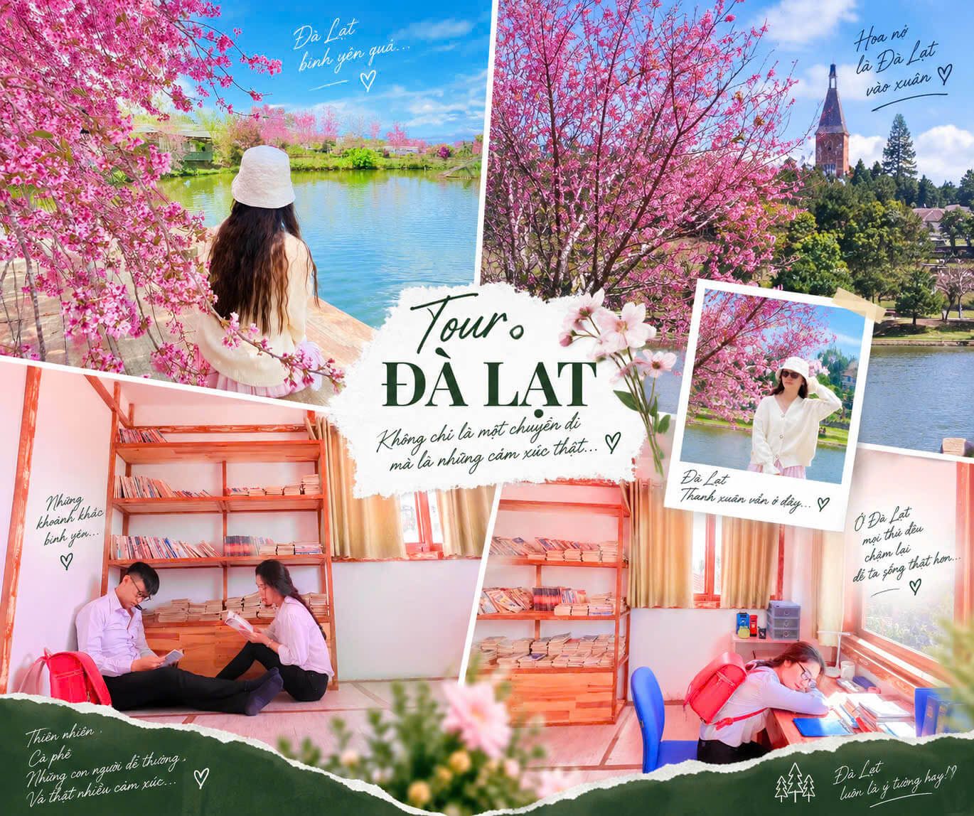 Đón Sân Bay Liên Khương Ghép Tour Đà Lạt Trong Ngày Mùa hoa mai anh đào Đà Lạt tour ngắm hoa cùng Taxi Đức Trọng Đà Lạt