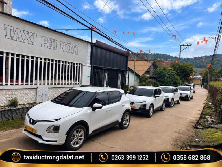Tour Đà Lạt tự chọn Xe điện và xe 7 chỗ của Taxi Đức Trọng Đà Lạt, có xe điện cho tour săn hoa dã quỳ Đà Lạt