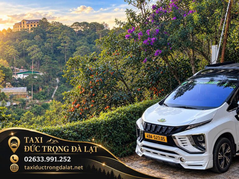 Tour Vườn Hồng Đà Lạt Mùa Hồng Chín 2026: 4 Lịch Trình Xe Riêng, Ghé Vườn Ngay Từ Sân Bay Xe 7 chỗ biển 49A-523.05 của anh Hải, Taxi Đức Trọng Đà Lạt, đậu cạnh vườn hồng chín nhìn xuống thung lũng Đà Lạt