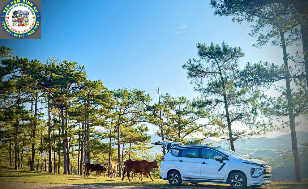 Dịch vụ taxi Đà Loan, Ninh Loan, Ninh Gia Đức Trọng đón tận nơi 24/24, xe 4–7 chỗ, đi sân bay Liên Khương, Đà Lạt, liên tỉnh giá rõ ràng.