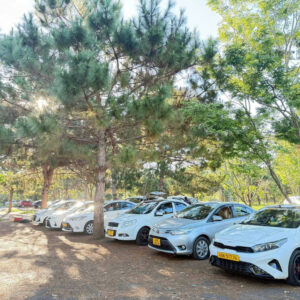 Bạn đang tìm dịch vụ taxi Liên Khương uy tín, giá rẻ? Đây là giải pháp di chuyển được nhiều du khách lựa chọn khi đến Đà Lạt. Với ưu điểm đón tận nơi, không cần chờ đợi và linh hoạt thời gian, taxi giúp bạn tiết kiệm thời gian và công sức. Xem ngay hướng dẫn chi tiết để chọn loại xe phù hợp và đặt xe nhanh chóng.