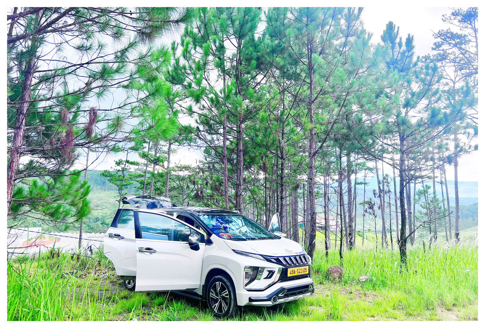 Dịch vụ tour Đà Lạt của Taxi Đức Trọng giúp du khách dễ dàng khám phá Hồ Xuân Hương, Quảng trường Lâm Viên, Thung Lũng Tình Yêu, các vườn hoa, quán cà phê săn mây và nhiều địa điểm hấp dẫn khác. Lịch trình linh hoạt, phù hợp cho gia đình, nhóm bạn và khách du lịch cá nhân.
