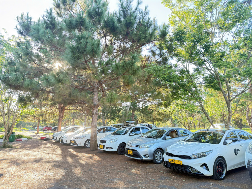 Hình ảnh xe Taxi Tân Hội phục vụ khách tại sân bay Liên Khương. Dịch vụ đặt xe nhanh, đúng giờ, giá cước minh bạch và hỗ trợ khách 24/7.
