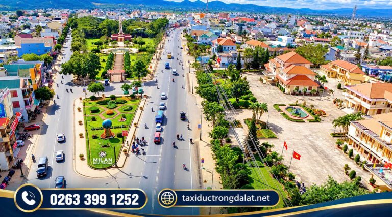 Hoa Dã Quỳ Đà Lạt 2026: 4 Cung Đường Ngắm Hoa Đẹp Nhất và Tour Săn Dã Quỳ Có Xe Đưa Đón Trung tâm Liên Nghĩa Đức Trọng nhìn từ trên cao